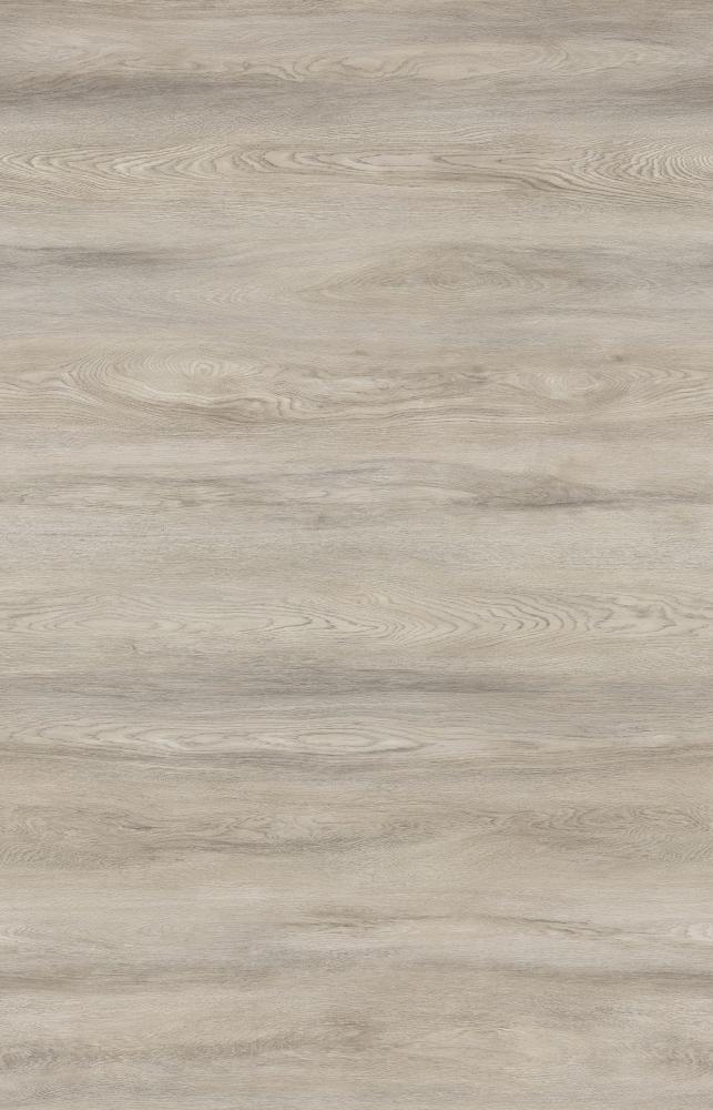 ������� SYNONYM ��� �����