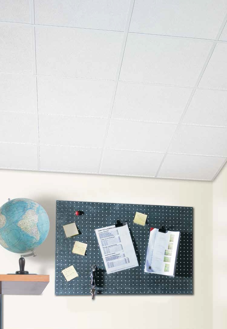   Armstrong SCALA board 600x600x12