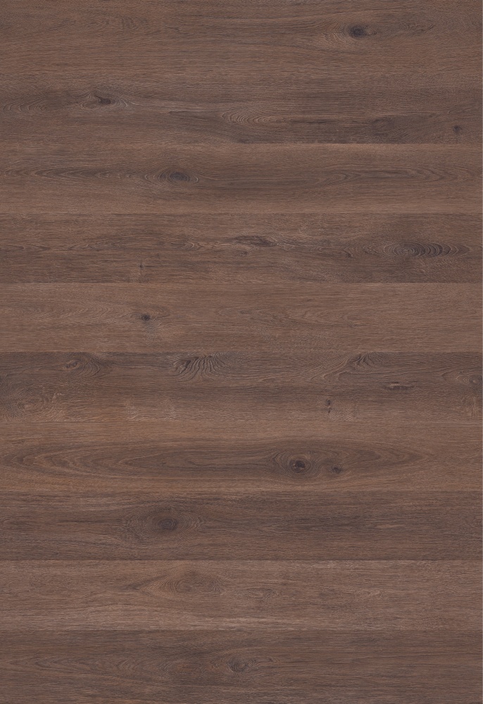 ������� SYNONYM ��� ����