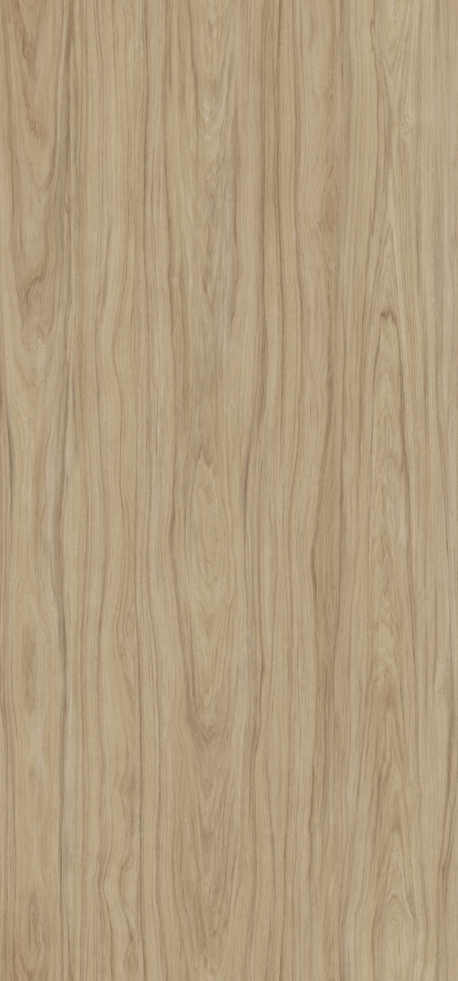    SWISS KRONO (ronostar)  066