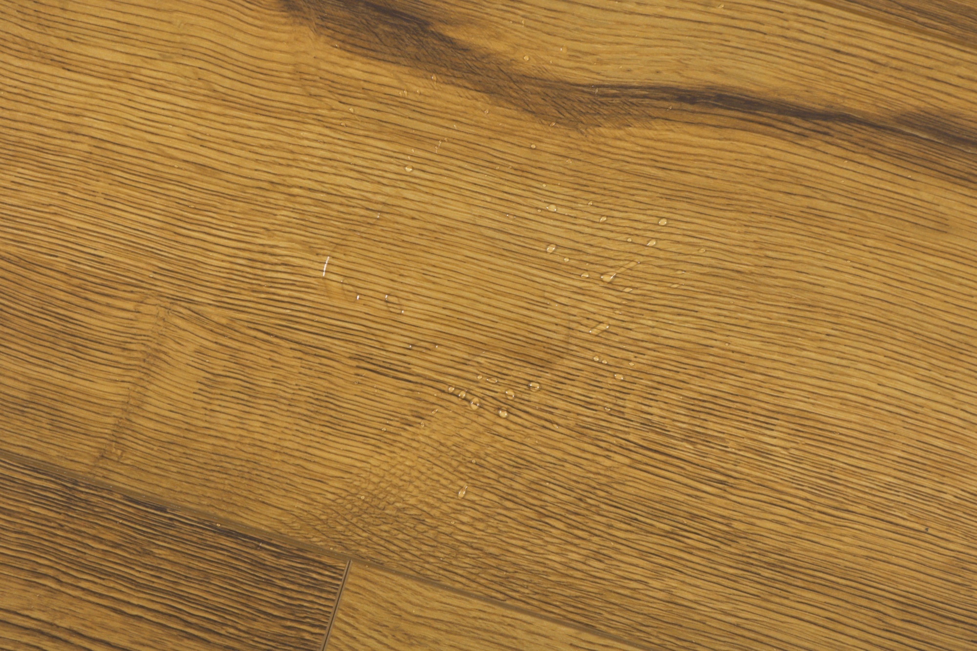  Robust Wood "Fortis"  