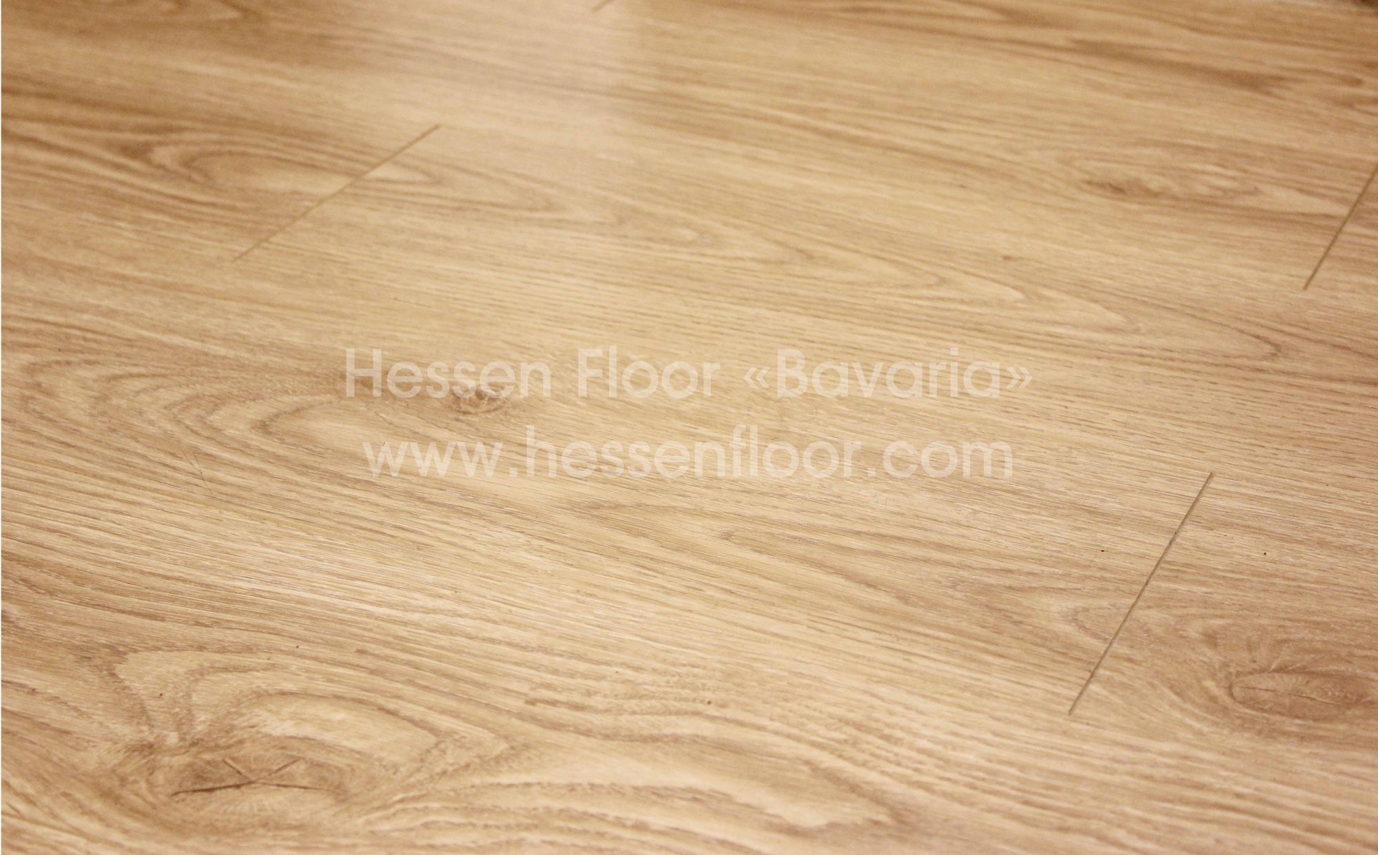  Hessen Floor Bavaria 33  